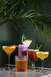  - Kimpton Alton Hotel Fishermans Wharf San Francisco