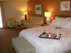  - Atrium Hotel & Suites DFW South Irving