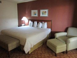  - Atrium Hotel & Suites DFW South Irving