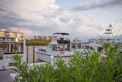  - New Hotel Collection Harbourside Resort Indian Rocks Beach