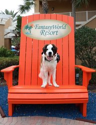  - Fantasyworld Resort Kissimmee