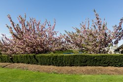  - Sleepy Hollow Hotel & Conference Center Tarrytown