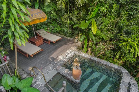 CAPELLA UBUD, BALI - Photo 34