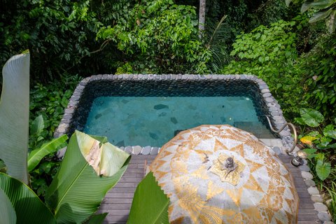 CAPELLA UBUD, BALI - Photo 40