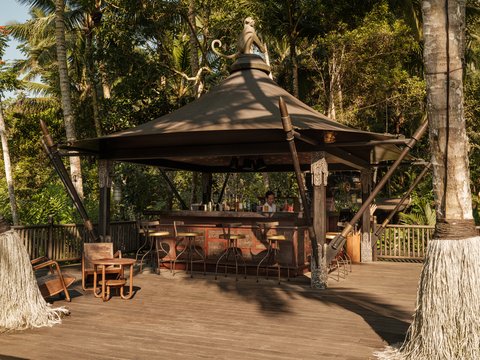 CAPELLA UBUD, BALI - Photo 45