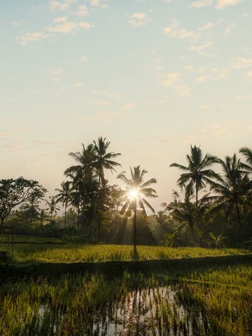 CAPELLA UBUD, BALI - Photo 50