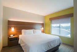  - Holiday Inn Express & Suites Busch Gardens Tampa