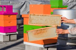  - W Hotel San Francisco