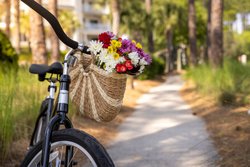  - Marriott Vacation Club SurfWatch Resort Hilton Head