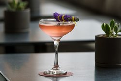  - AC Hotel by Marriott Downtown Bethesda