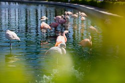  - JW Marriott Desert Springs Resort & Spa Palm Desert