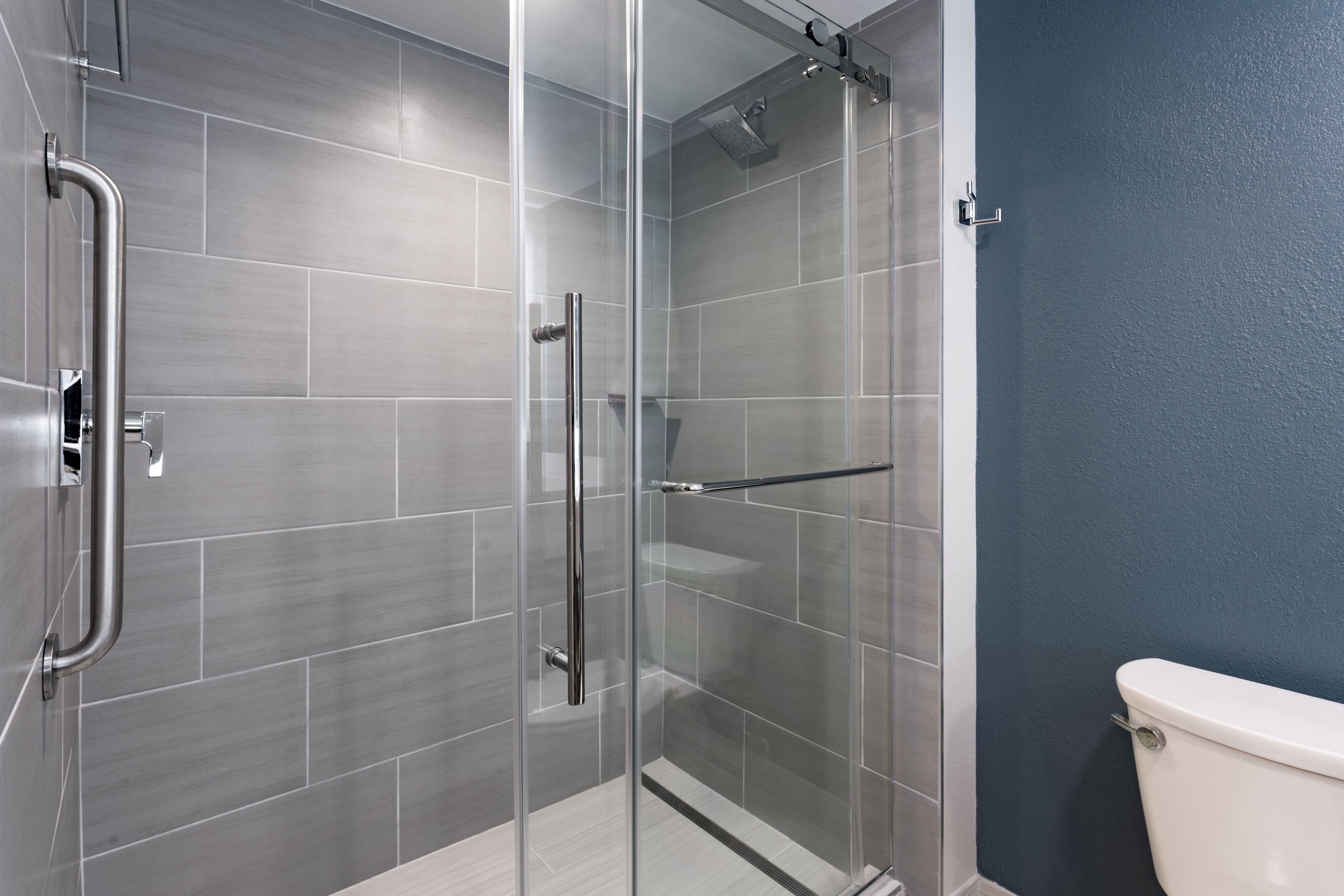 Guest Bathroom - Shower Fixure