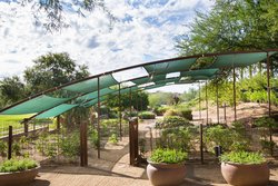  - JW Marriott Phoenix Desert Ridge Resort & Spa