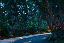  - Marriott Wailea Resort Maui