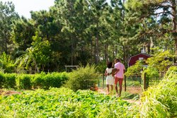  - Ritz-Carlton Residences Grande Lakes Orlando