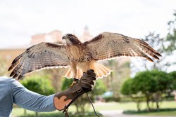  - Ritz-Carlton Residences Grande Lakes Orlando