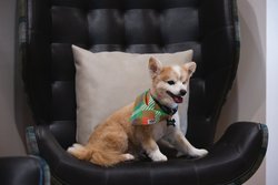  - Residence Inn by Marriott Cultural District Fort Worth