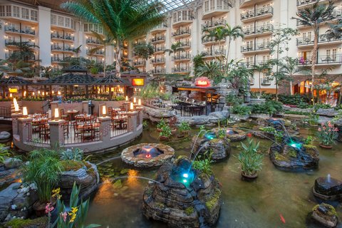 GAYLORD OPRYLAND RESORT - Photo 10