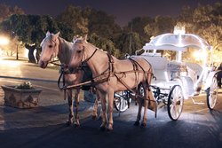  - Gaylord Opryland Resort & Spa Nashville - TN 155, Exit 12