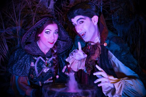 GAYLORD OPRYLAND RESORT - Photo 83
