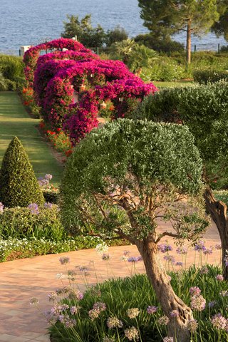 THE ST REGIS MARDAVALL MALLORC - Photo 10