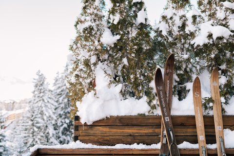 CRANS AMBASSADOR - Photo 2