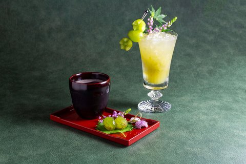 THE WESTIN OSAKA - Photo 115