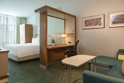  - SpringHill Suites by Marriott Nashville - I-40 & I-65, Exit 209