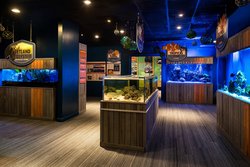  - Ritz-Carlton Hotel Naples