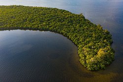  - Westin Cape Coral Resort at Marina Village