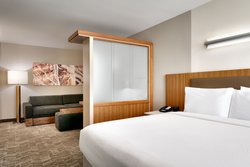  - SpringHill Suites by Marriott Las Vegas Convention Center