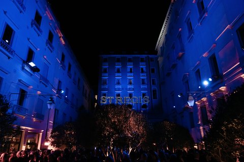 THE ST REGIS VENICE - Photo 168