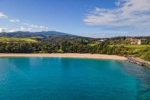 THE RITZ-CARLTON KAPALUA - Photo 5