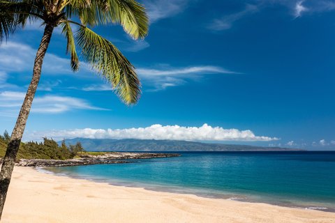 THE RITZ-CARLTON KAPALUA - Photo 7