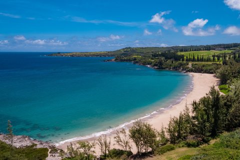 THE RITZ-CARLTON KAPALUA - Photo 4