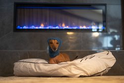  - Westin Hotel Harbour Castle Toronto