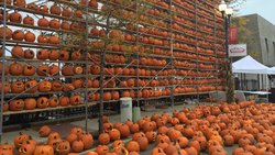  - Holiday Inn Express & Suites Morton - I-74, Exit 102