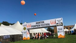  - Holiday Inn Express & Suites Morton - I-74, Exit 102