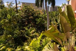  - Royal Hawaiian Hotel by Sheraton Waikiki Honolulu