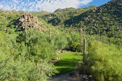  - Ritz-Carlton Hotel Dove Mountain Marana