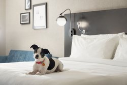  - Four Points by Sheraton Hotel Brown Deer