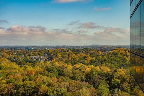 JW MARRIOTT ATLANTA BUCKHEAD - Photo 30