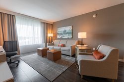  - Delta Hotel by Marriott Triangle Park Durham - I-40, Exit 281