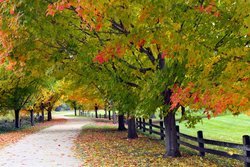  - Marriott Resort Lincolnshire