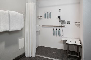 Accessible Guest Bathroom - Roll-In Shower