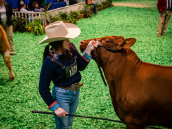  - Staybridge Suites Galleria Area Houston