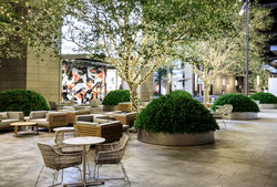  - Holiday Inn Express Galleria Area Houston