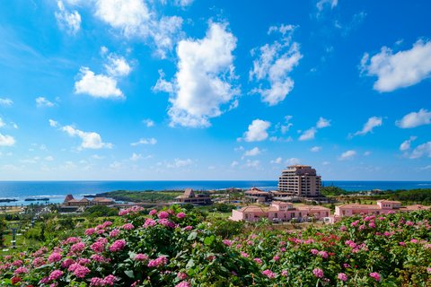 HOTEL SHIGIRA MIRAGE - Photo 3