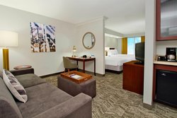  - SpringHill Suites by Marriott East Norfolk - I-264, Exit 15