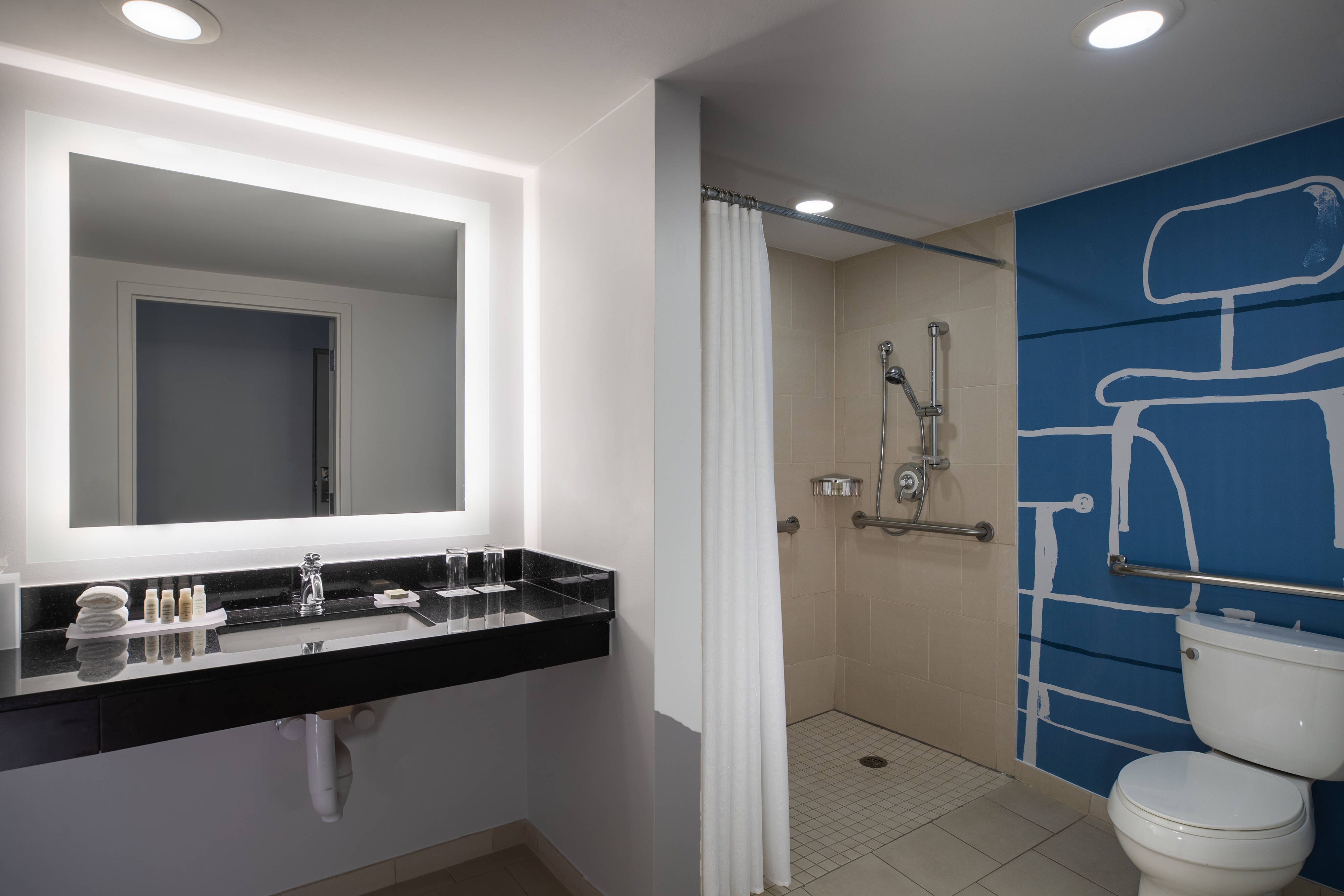 Accessible Guest Bathroom- Roll-In Shower
